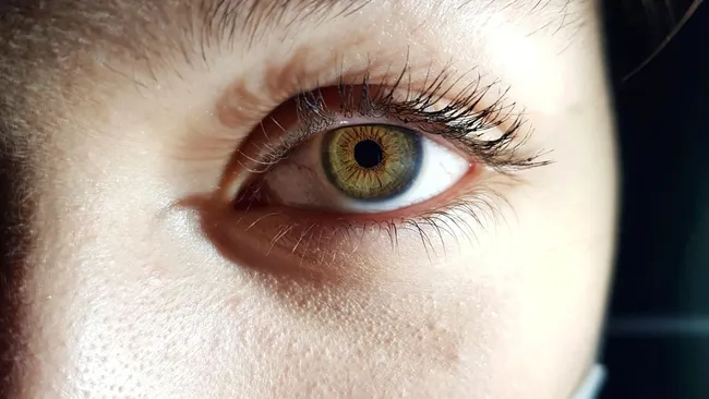 Стимуляция мозга помогла полностью слепому человеку распознавать буквы