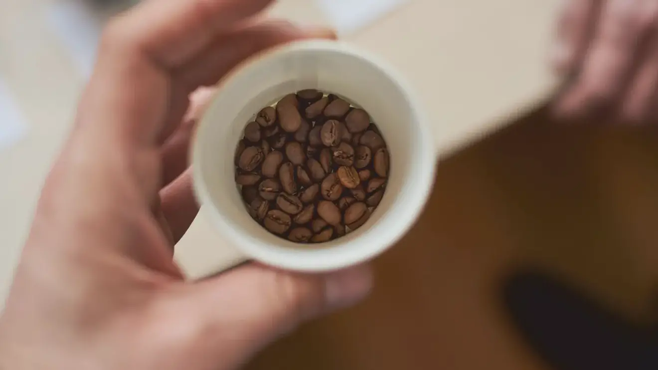 Сколько кофеина в чае и кофе: развеиваем мифы
