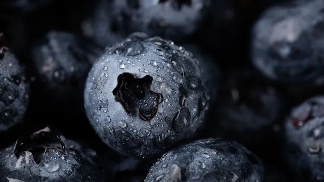 Черника защищает поврежденную от жареной пищи печень 