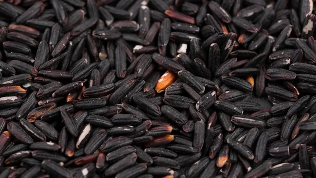 Улучшающие память свойства обнаружили у чёрного риса