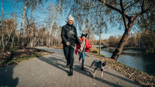 Учёные установили связь между продолжительностью прогулок и риском заболеваний сердца