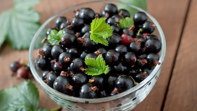 Ветки не выдержат урожая — чем подкормить смородину прямо сейчас