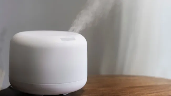 Терапевт Лавров: для профилактики гриппа и простуд нужно включать увлажнитель