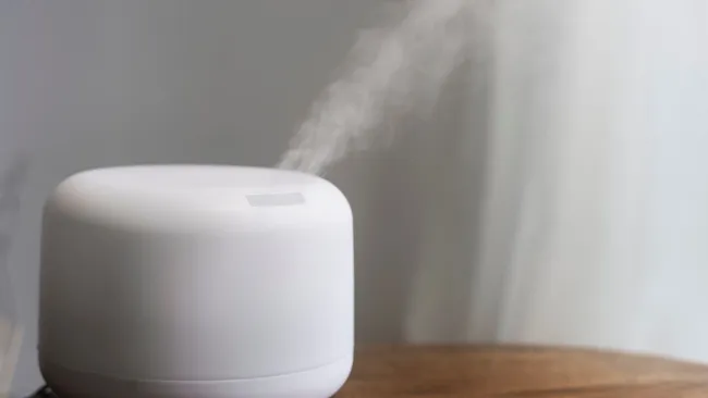 Терапевт Лавров: увлажнитель воздуха может вызывать пневмонию 