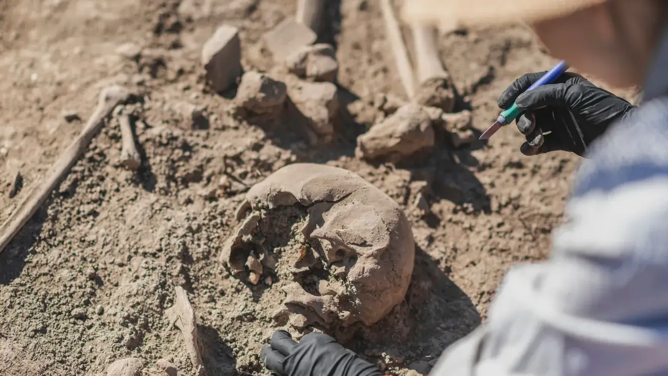 В Китае нашли череп «человека-дракона»