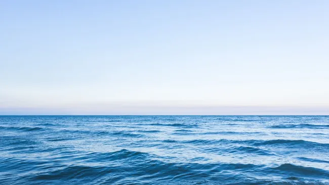 В Тихом океане началось разрушение тектонической плиты 