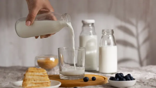 Бактерия из кефира показала способность ослаблять возрастные изменения иммунитета