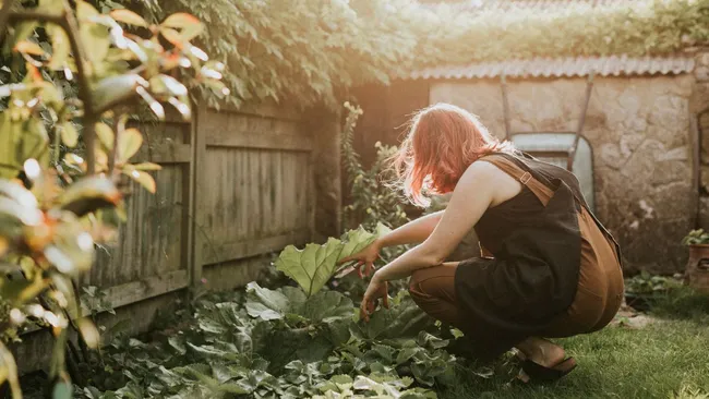 Тихий убийца урожая — как избавиться от мокриц на участке 