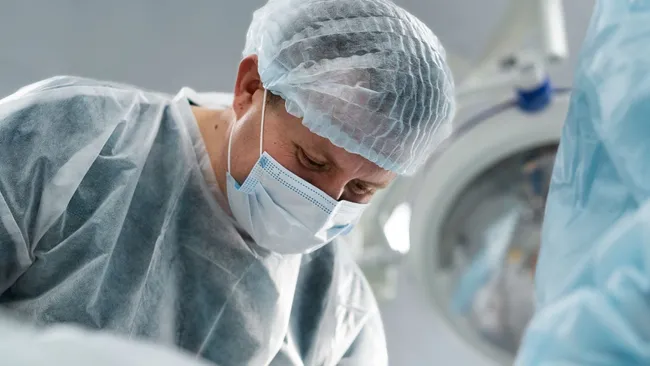 Генетически измененные почки свиней могут решить проблему дефицита доноров