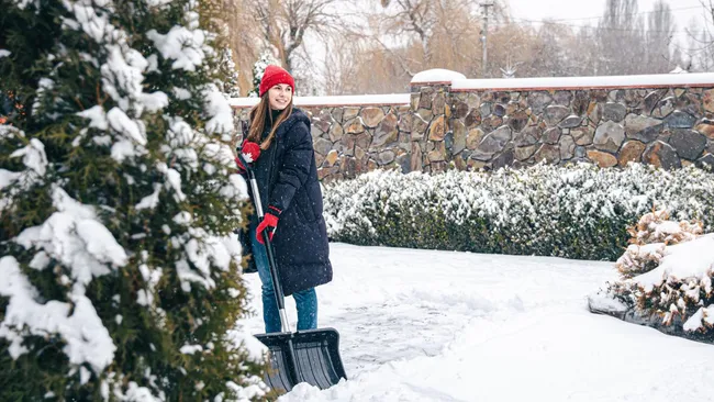 Ржавчина, трещины и плесень — что ни в коем случае нельзя оставлять на улице зимой