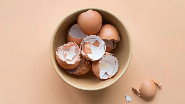 Вы выбрасывали это, а зря — превращаем яичную скорлупу в мощную подкормку