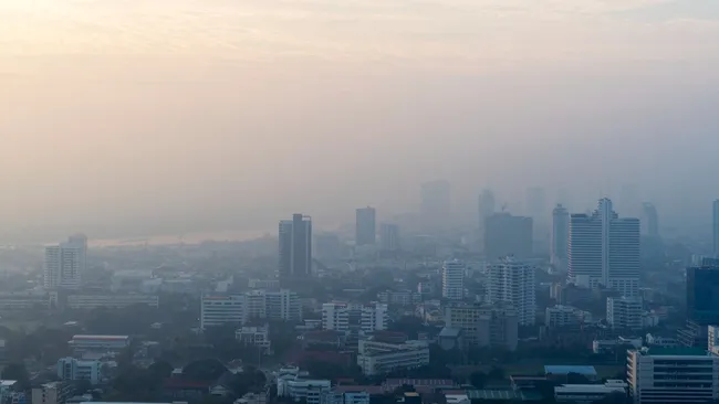 Витамин C может снижать воздействие загрязнённого воздуха