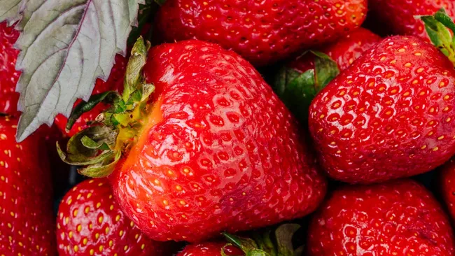 Без химии и лишних трат — раствор, который одновременно питает и защищает клубнику