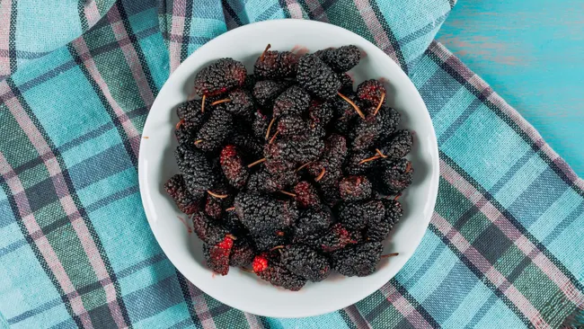 Компонент из листьев шелковицы положительно влияет на печень при ожирении 