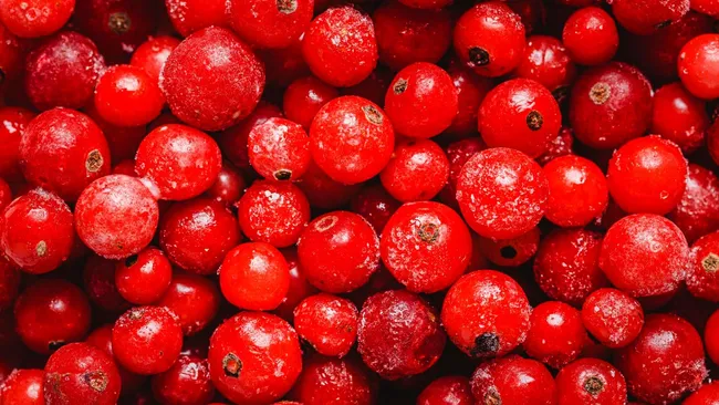 Исследование подтвердило положительное влияние клюквы на здоровье зубов и дёсен