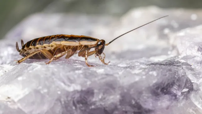  Учёные предложили уменьшить яркость Солнца 