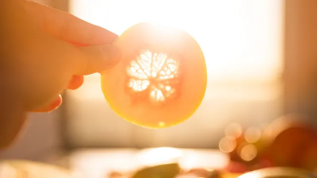 Утренний солнечный свет оказался полезен для поддержания для циркадных ритмов