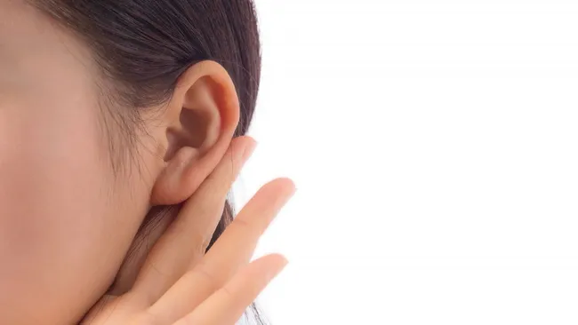 Врач Демьяновская: блендер, кофемолка и вытяжка опасны для слуха