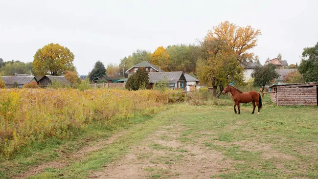 Иж, Ям и Ая вошли в ТОП населённых пунктов с самыми короткими названиями