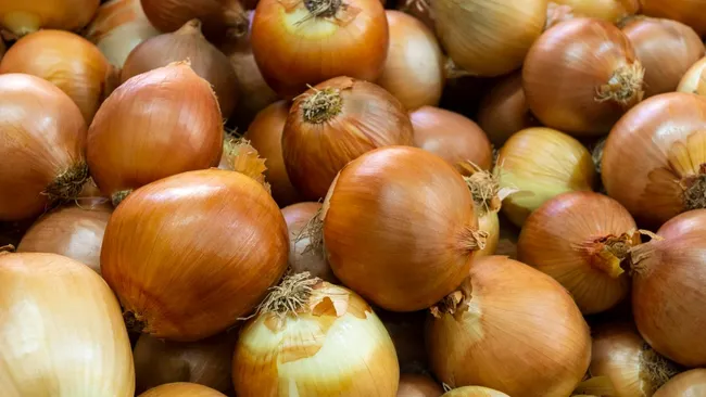 Луковая шелуха — спаситель урожая и защитник от вредителей: не торопитесь её выбрасывать 