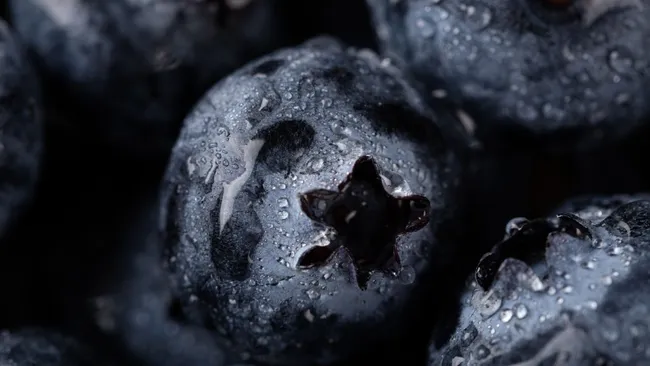 Черника и ее листья способны замедлять старение клеток