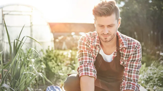 Вредители идут в атаку — опытные дачники достают этот пахучий «эликсир»