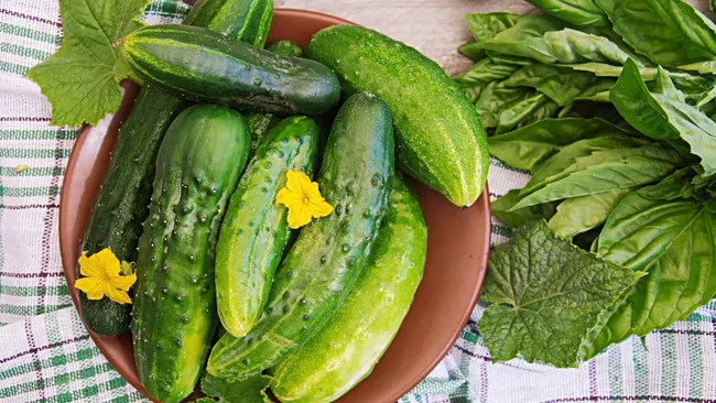 Пол-литра под куст — и результат удивит: рецепт для активного роста огурцов