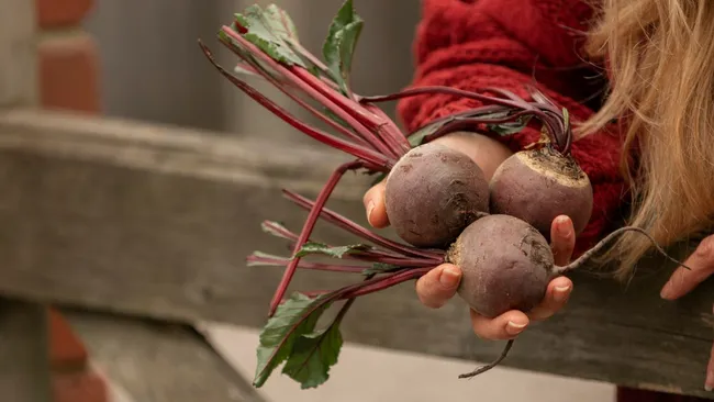 Посадите рядом — и удивитесь: лучшие соседи для свёклы, которые работают вместо удобрений