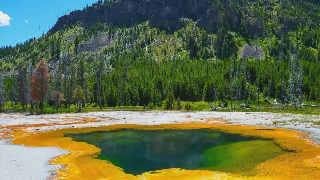 Экологи узнали, почему реки на Аляске стали оранжевыми