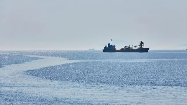 Геологи подтвердили расширение Суэцкого залива 