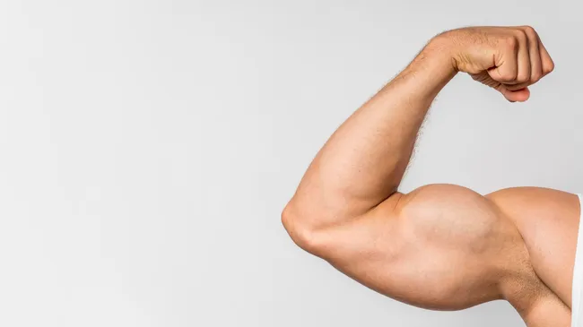 У людей с развитыми мышцами мозг стареет медленнее 