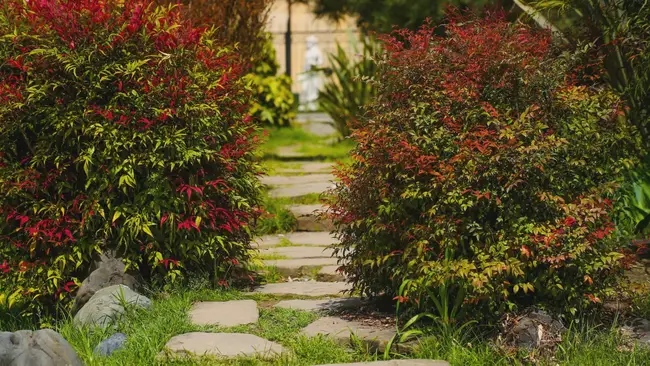 6 способов сделать садовые дорожки на даче