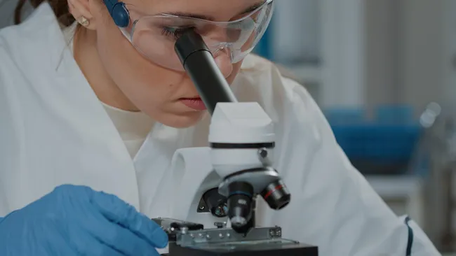 Учёные пришли к выводу, что подвижность сперматозоидов зависит от времени года