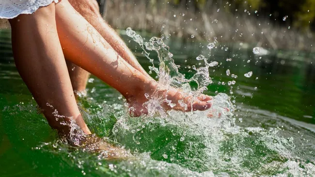 Учёные посоветовали воздержаться от купания в водоёмах, где обитают утки и ондатры