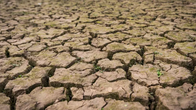 Засуха оказалась связана с антибиотикорезистентностью бактерий