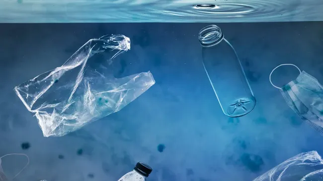 Влияние пластика на здоровье человека может почти удвоиться к 20240 году 