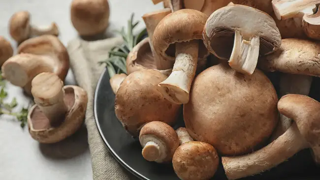 Как и сколько варить грибы