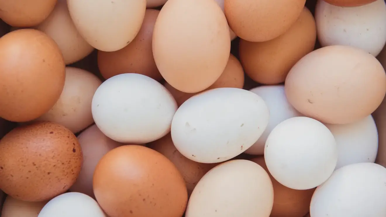 Куриные яйца: сколько в них калорий и можно ли есть каждый день