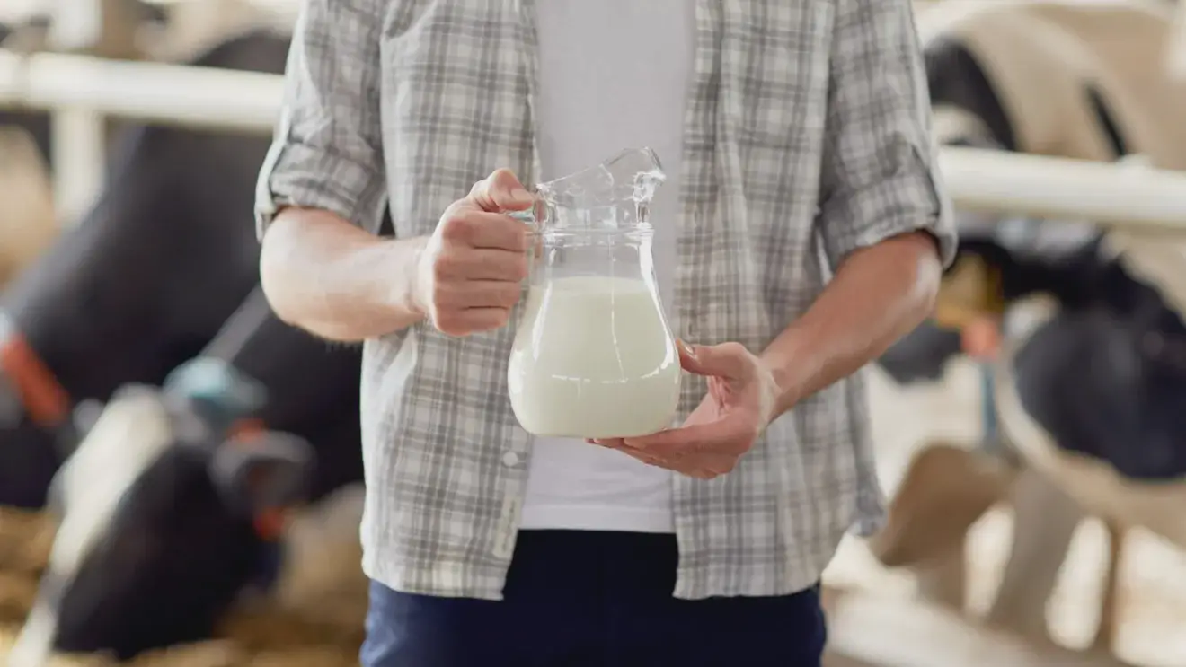 Молоко: польза, вред и калорийность