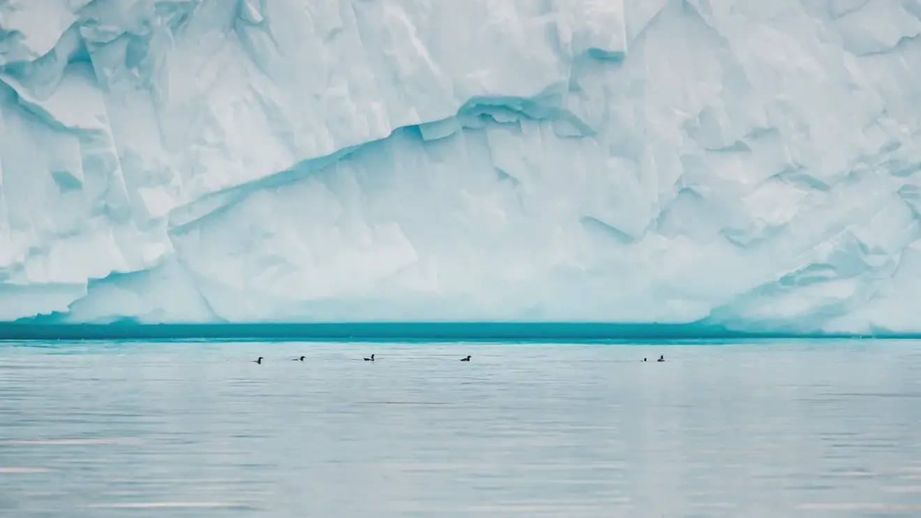 Гигантские вирусы замедляют таяние ледников в Гренландии