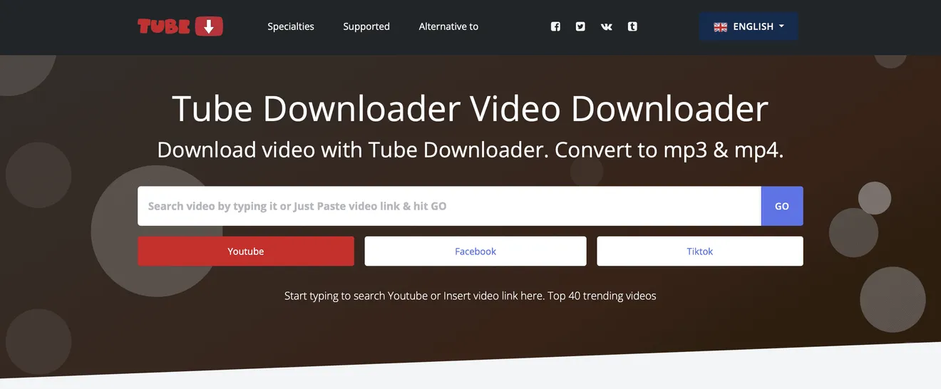 Скриншот сайта расширения Tube Downloader