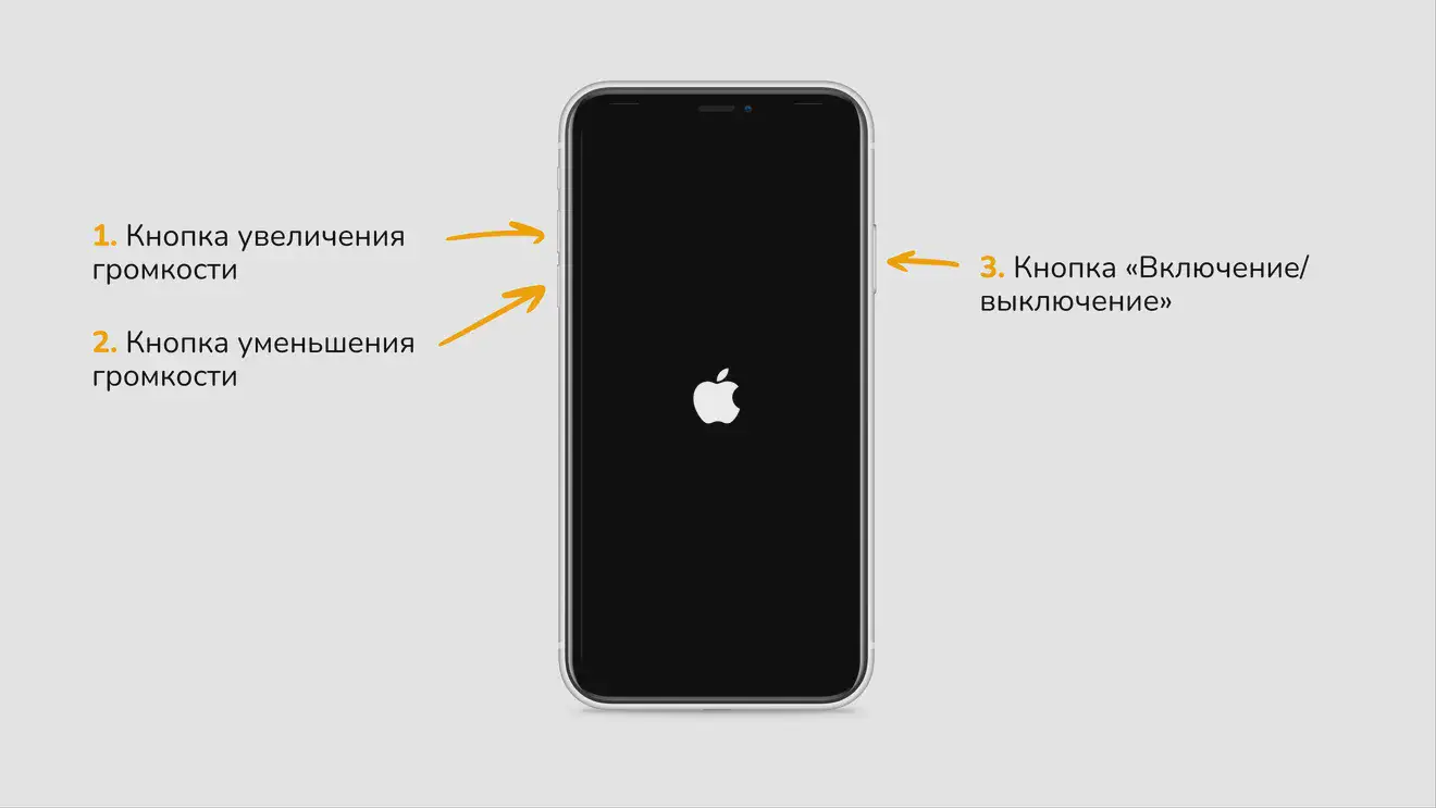 Принудительная перезагрузка iPhone 8, 8 Plus, X, XR, XS, XS Max, SE (2-го поколения)
