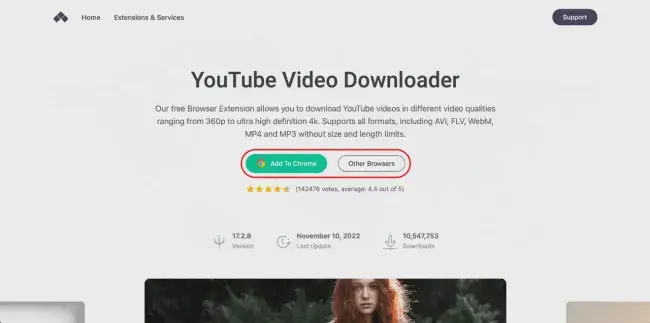 Скриншот сайта расширения YouTube Video Downloader