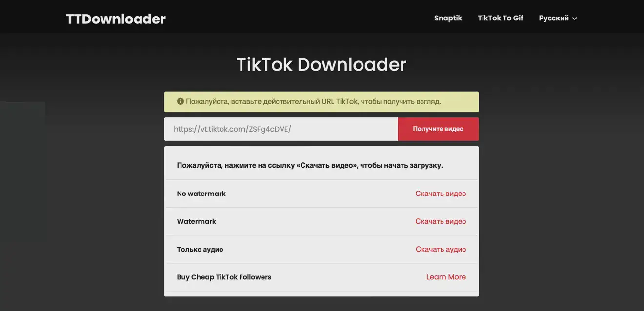Скриншот сервиса TTDownloader