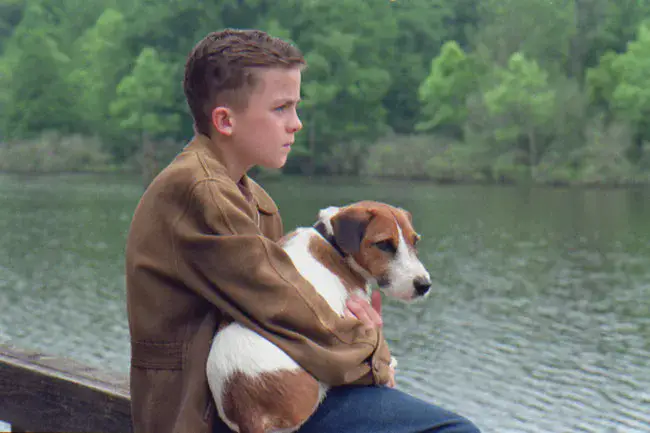 Кадры из фильма "Мой пес Скип", 2000