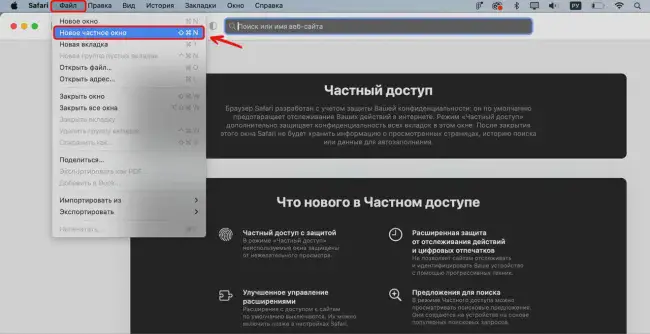 Режим инкогнито в Safari на компьютере